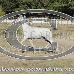 2025-©photo-sourire.com-BELLE-1019