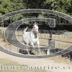 2025-©photo-sourire.com-BELLE-1035