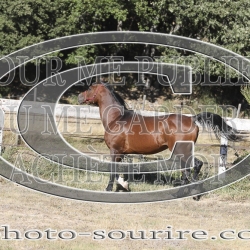 2025-©photo-sourire.com-COKTAIL-1009