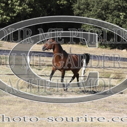 2025-©photo-sourire.com-COKTAIL-1015