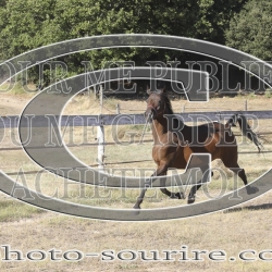 2025-©photo-sourire.com-HONORA-1000