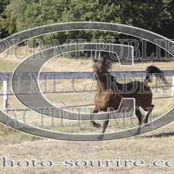 2025-©photo-sourire.com-HONORA-1001