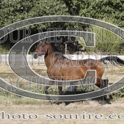 2025-©photo-sourire.com-IZOTOP-1016