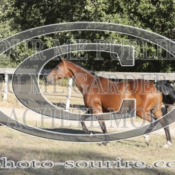 2025-©photo-sourire.com-KIESTU-1009