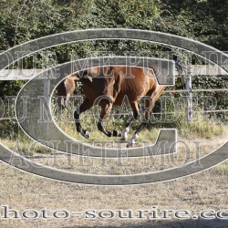 2025-©photo-sourire.com-KIESTU-1015