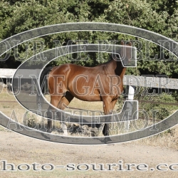 2025-©photo-sourire.com-KIESTU-1020