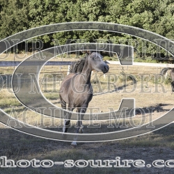 2025-©photo-sourire.com-NIKEL-1002