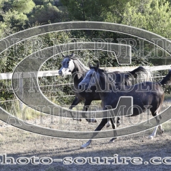 2025-©photo-sourire.com-NIKEL-1004
