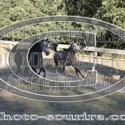 2025-©photo-sourire.com-NIKEL-1009