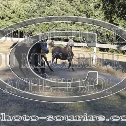 2025-©photo-sourire.com-NIKEL-1007