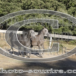 2025-©photo-sourire.com-NIKEL-1012