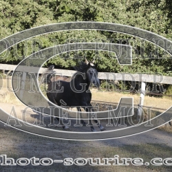 2025-©photo-sourire.com-NIKEL-1013