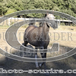 2025-©photo-sourire.com-NIKEL-1021