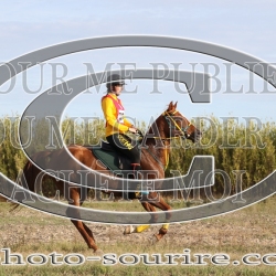 photo-sourire.com-2023-SALIN-DE-GIRAUD-1482