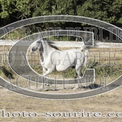 2025-©photo-sourire.com-ACAPELA-1002