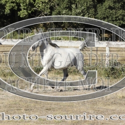 2025-©photo-sourire.com-ACAPELA-1003