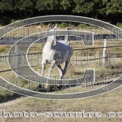 2025-©photo-sourire.com-ACAPELA-1004