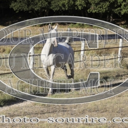 2025-©photo-sourire.com-ACAPELA-1005