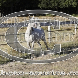 2025-©photo-sourire.com-ACAPELA-1007