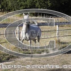 2025-©photo-sourire.com-ACAPELA-1008