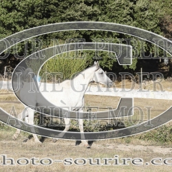 2025-©photo-sourire.com-ACAPELA-1009