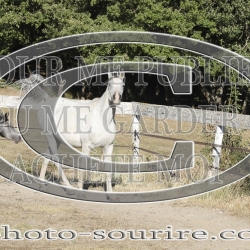 2025-©photo-sourire.com-ACAPELA-1012