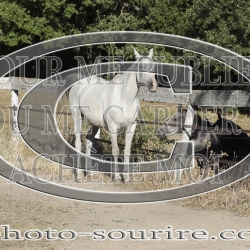 2025-©photo-sourire.com-ACAPELA-1013