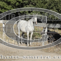 2025-©photo-sourire.com-ACAPELA-1014