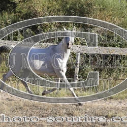 2025-©photo-sourire.com-ACAPELA-1015