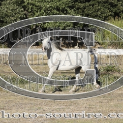 2025-©photo-sourire.com-ACAPELA-1016