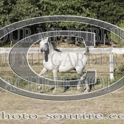 2025-©photo-sourire.com-ACAPELA-1017