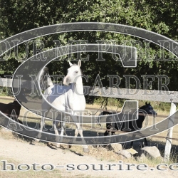 2025-©photo-sourire.com-ACAPELA-1020