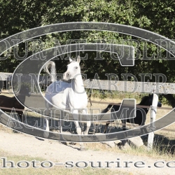 2025-©photo-sourire.com-ACAPELA-1021