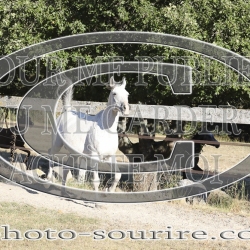 2025-©photo-sourire.com-ACAPELA-1022