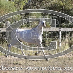 2025-©photo-sourire.com-ACAPELA-1023