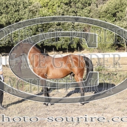 2025-©photo-sourire.com-ADAGIO-1000