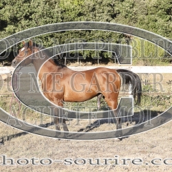 2025-©photo-sourire.com-ADAGIO-1002