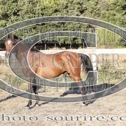 2025-©photo-sourire.com-ADAGIO-1003