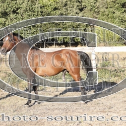 2025-©photo-sourire.com-ADAGIO-1004