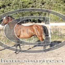 2025-©photo-sourire.com-ADAGIO-1005