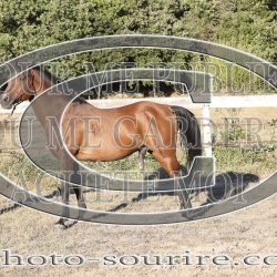 2025-©photo-sourire.com-ADAGIO-1006