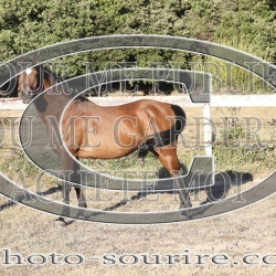 2025-©photo-sourire.com-ADAGIO-1007