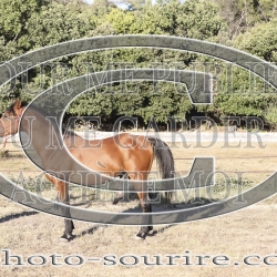 2025-©photo-sourire.com-ADAGIO-1008