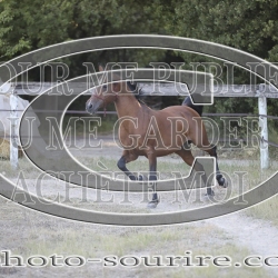 2025-©photo-sourire.com-ADAGIO-1009