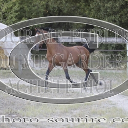 2025-©photo-sourire.com-ADAGIO-1010