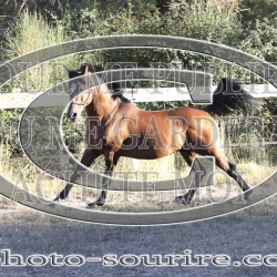 2025-©photo-sourire.com-ADAGIO-1012