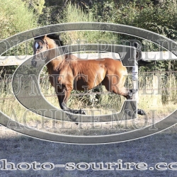 2025-©photo-sourire.com-ADAGIO-1013