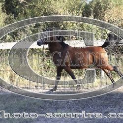 2025-©photo-sourire.com-ADAGIO-1014