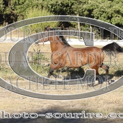 2025-©photo-sourire.com-ADAGIO-1016