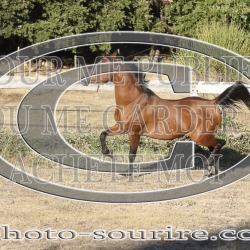 2025-©photo-sourire.com-ADAGIO-1017